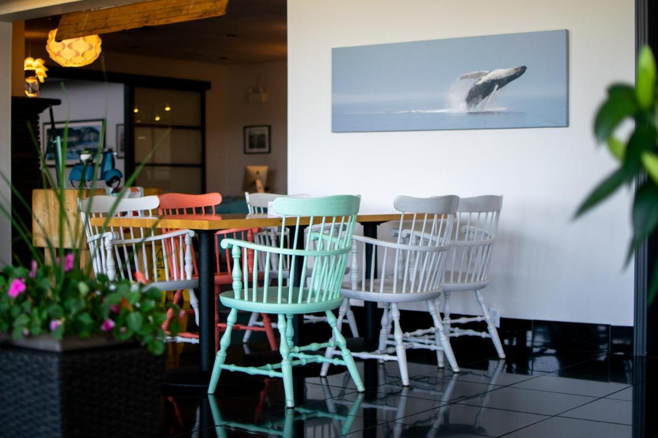Clarenville Inn Dış mekan fotoğraf